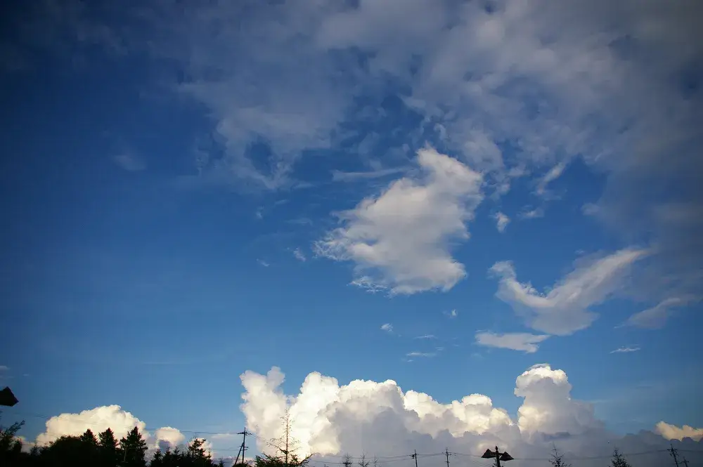 探し方を変えるだけで増える