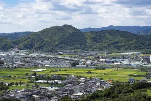 藤枝市の平均年収は年齢別でいくら？20代〜50代の給与格差と「平均以上」を稼げる3つの優良業界