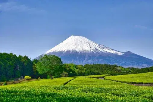 富士市の平均年収・世帯年収まとめ｜20代〜50代の年齢別データと地元優良企業